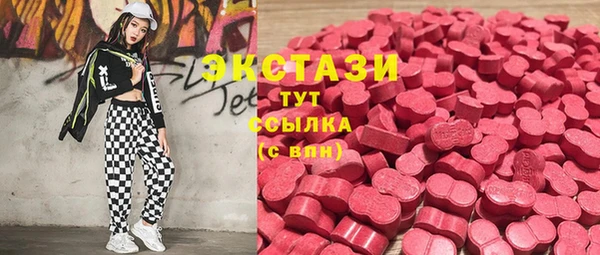 гашик Алексин