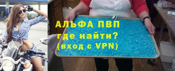 гашик Алексин