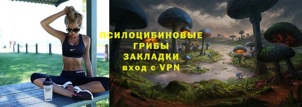 прущая мука Абаза