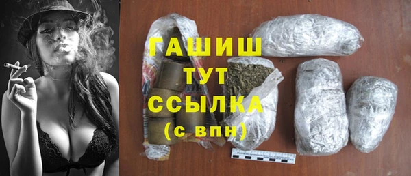 гашик Алексин