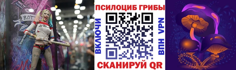 закладки  Островной  Галлюциногенные грибы GOLDEN TEACHER 